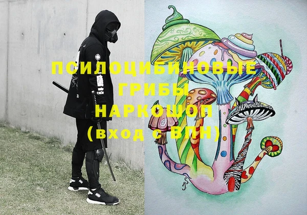 мет Медвежьегорск