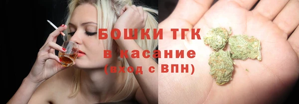 ГАЛЛЮЦИНОГЕННЫЕ ГРИБЫ Медногорск