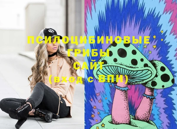 ГАЛЛЮЦИНОГЕННЫЕ ГРИБЫ Медногорск